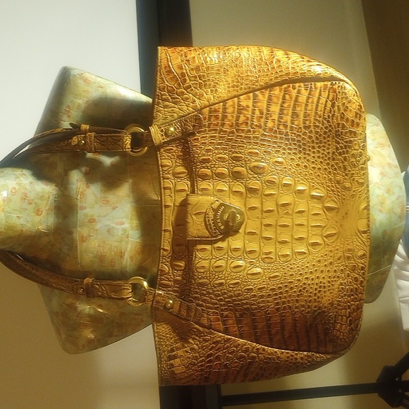 Brahmin - Picture 2 of 12